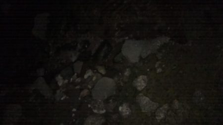 ホーム淀川での実釣調査