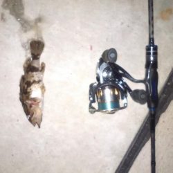 メバリング新規開拓