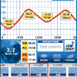 爆釣ライトゲーム開幕❗