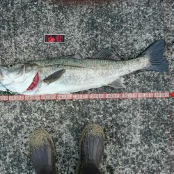 金、銀メダル、おめでとう!