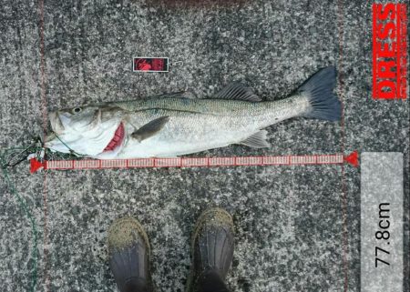 金、銀メダル、おめでとう!