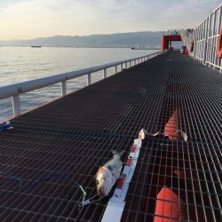 最高の釣り日和