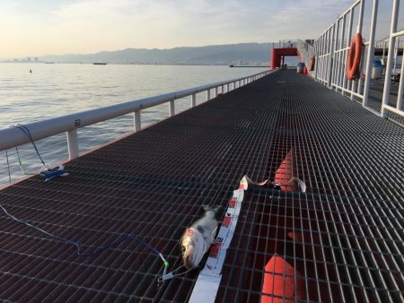 最高の釣り日和