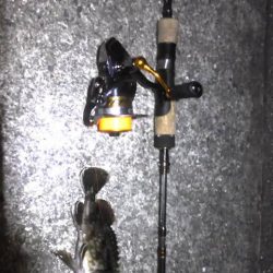 連日のライトゲーム