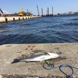 西宮ケーソン入口。