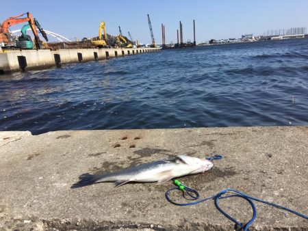 西宮ケーソン入口。