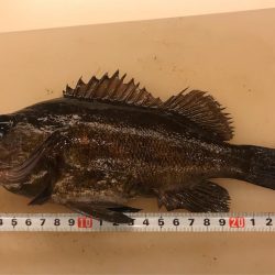 爆釣メバリング