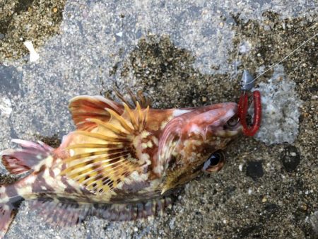 マゴバチで癒しのライトゲーム