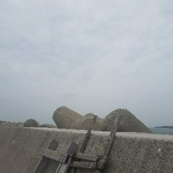 ガシラ釣り　～アタリ少ない～