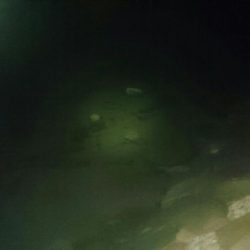 干潮❗だけど❗