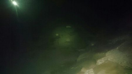 干潮❗だけど❗