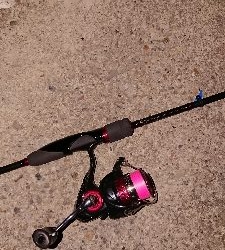 今宵もプラッキング