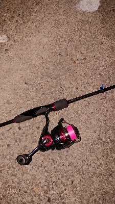 今宵もプラッキング