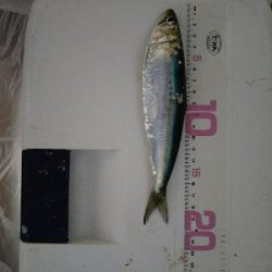 クーラー満タン