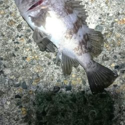 短時間メバリング