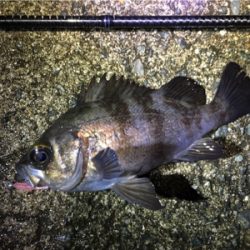 フロートリグでプカプカ