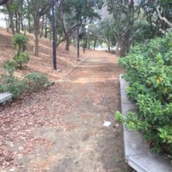 今年初フィッシュは人生初フィッシュ！