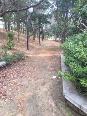 今年初フィッシュは人生初フィッシュ！