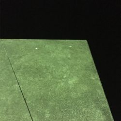 寒波のせいか？