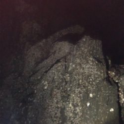 やっぱりシブい