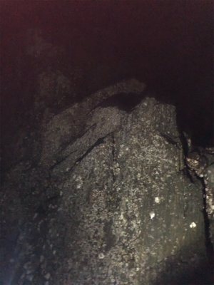 やっぱりシブい