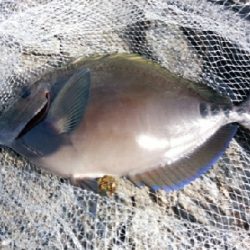 爆風でスランプ！