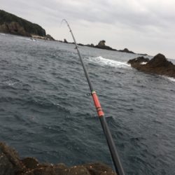 グレ浮きフカセ釣