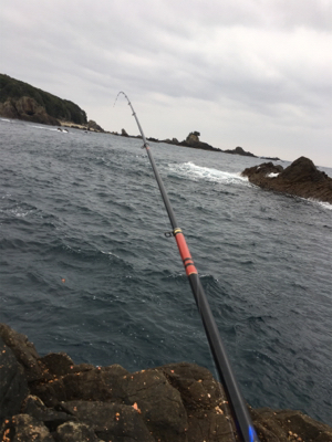 グレ浮きフカセ釣