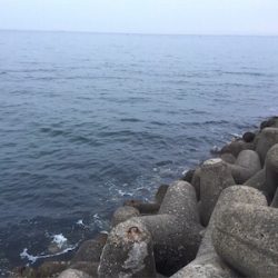 時合いを逃さずキャッチ