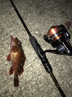 チビガッシーでボウズ逃がれ