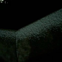 雪の中のメバリング