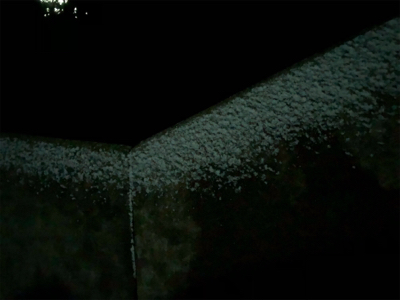 雪の中のメバリング