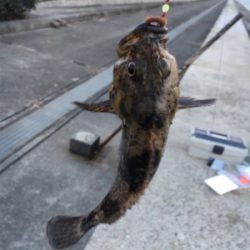 冬の穴釣りは夢があるな〜