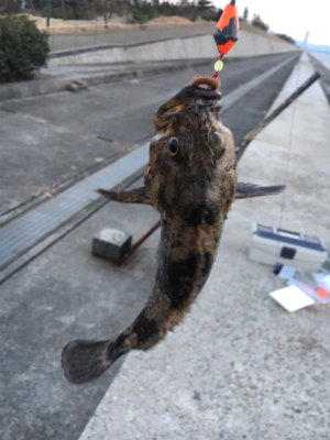 冬の穴釣りは夢があるな〜