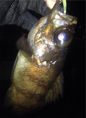 つ抜け逆ギレリベンジ