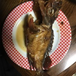 やっと風止みましたね♪