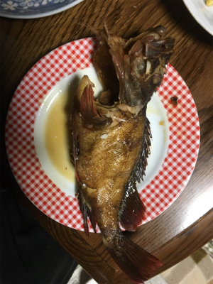 やっと風止みましたね♪