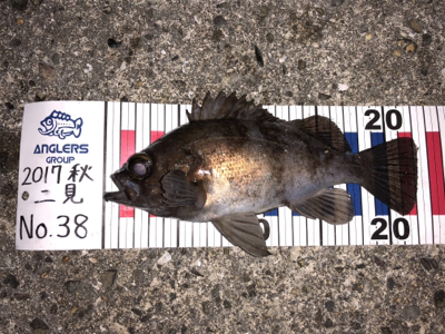 メバリングナイトゲーム♪GUNNING-STYLE