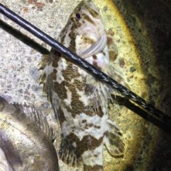 なかなか絶好調