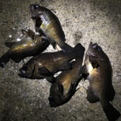 そろそろ上向き？