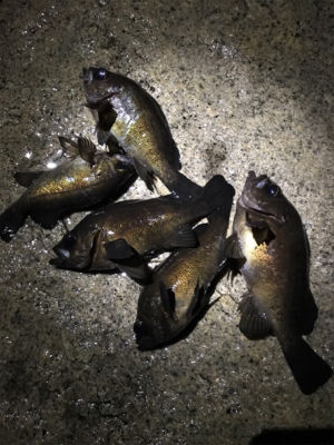 そろそろ上向き？