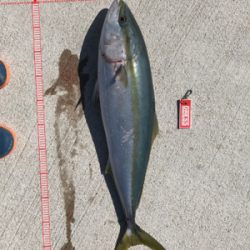 スロージギング