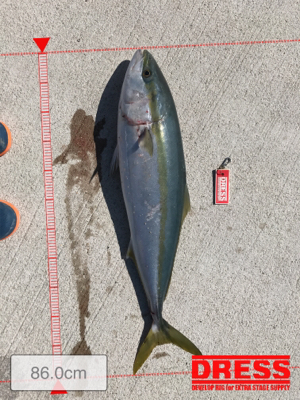 スロージギング