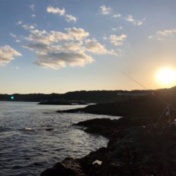 ハゲ狙い新規開拓