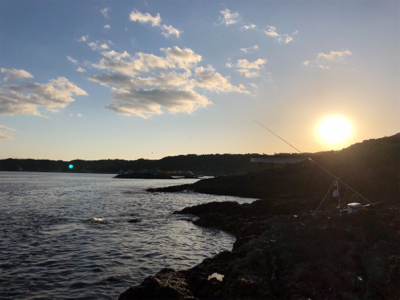 ハゲ狙い新規開拓