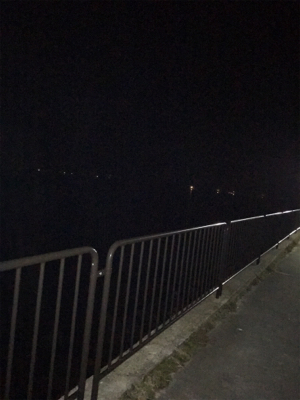 シーバス釣行①