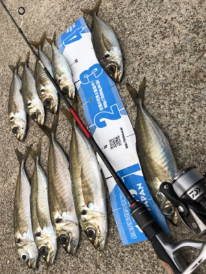 ちょっと間が空いたけどアジング〜(釣行 其…