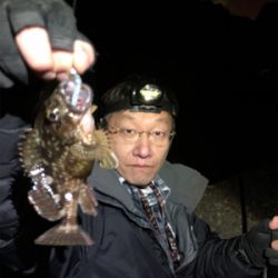 メバルナイトゲーム☆GUNNING-STYLE釣行