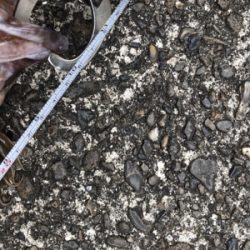 朝1時間弾丸チャレンジ