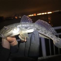 杉田臨海緑地公園